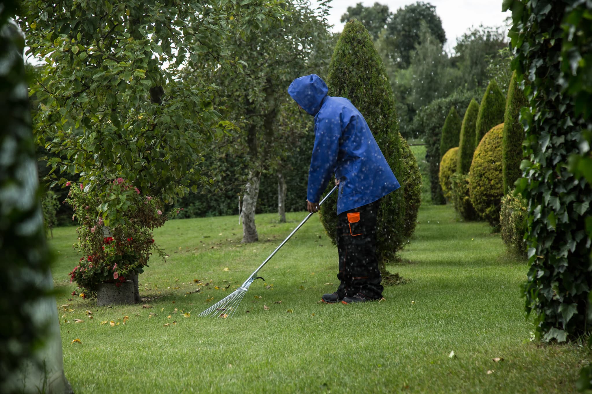 Herbstcheckliste für Haus und Garten: Laub entfernen und winterfest machen