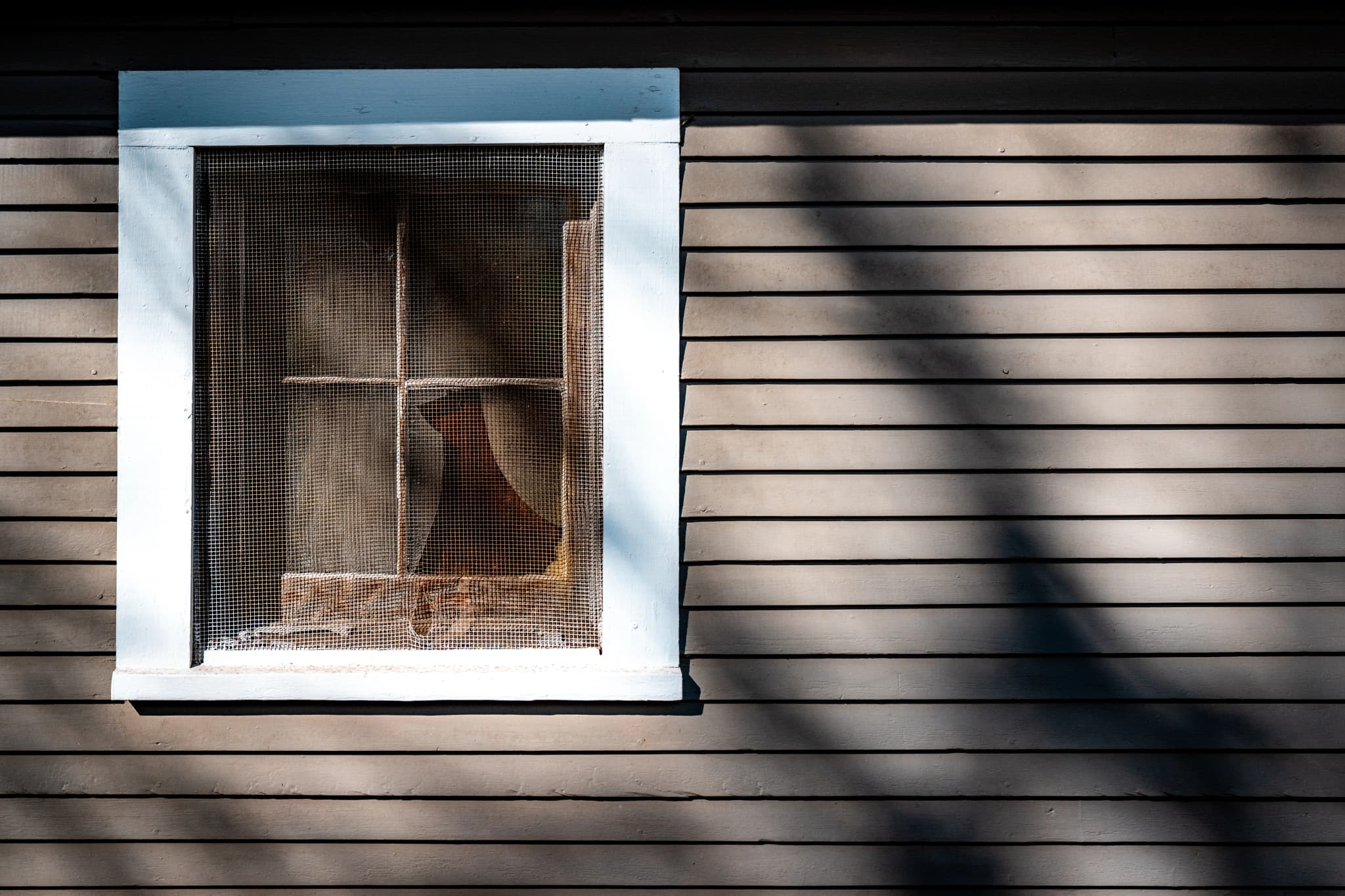Fenster mit gespanntem Insektenschutzgitter an einer sonnenbeschienenen Hauswand