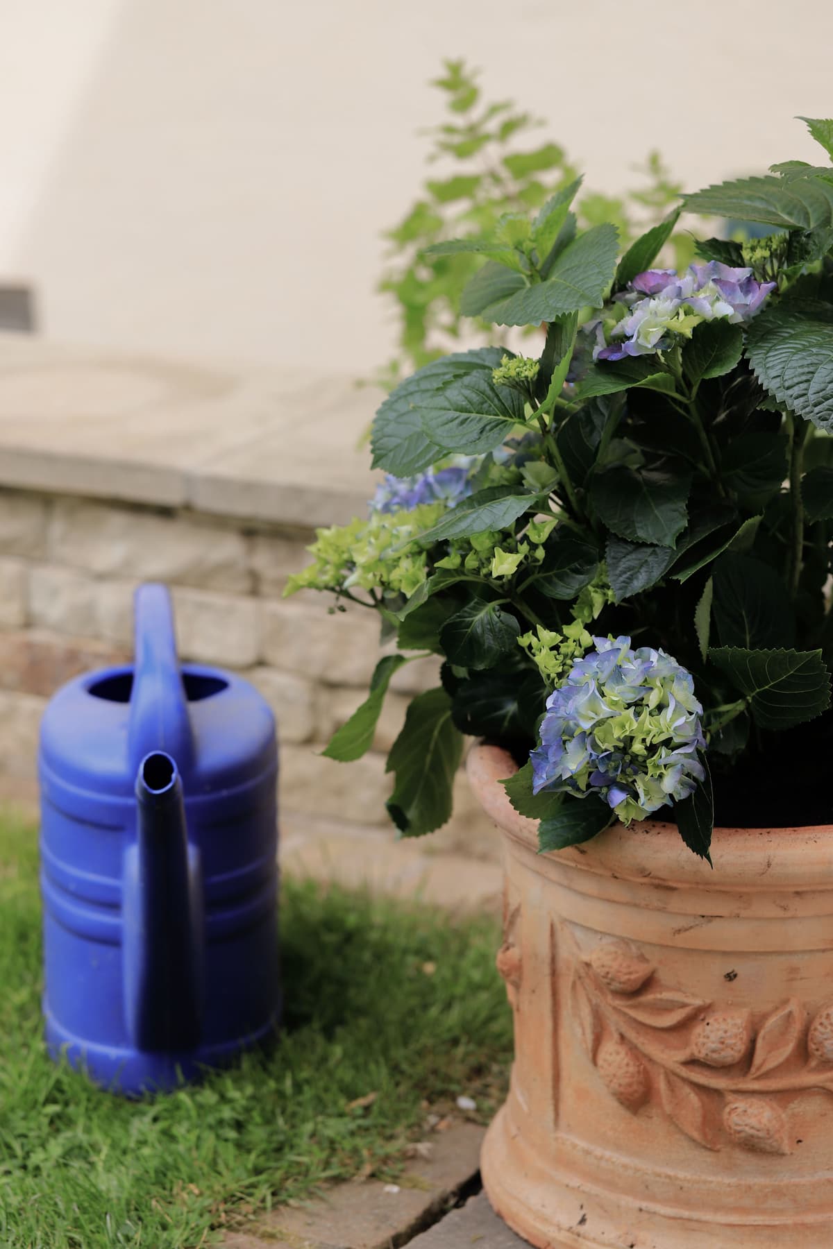 Bepflanzter Kübel und Gießkanne auf einer sommerlichen Terrasse: Sommercheckliste von Glanz & Glimmer
