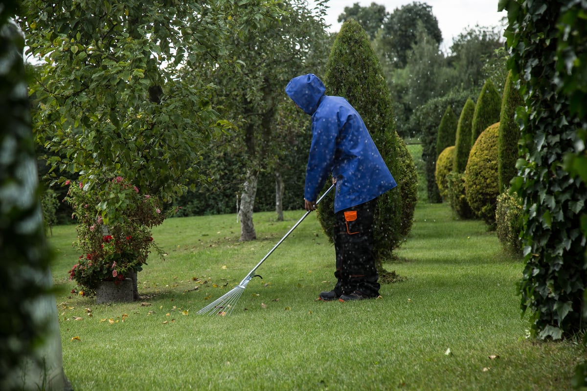 Herbstcheckliste für Haus und Garten: Laub entfernen und winterfest machen