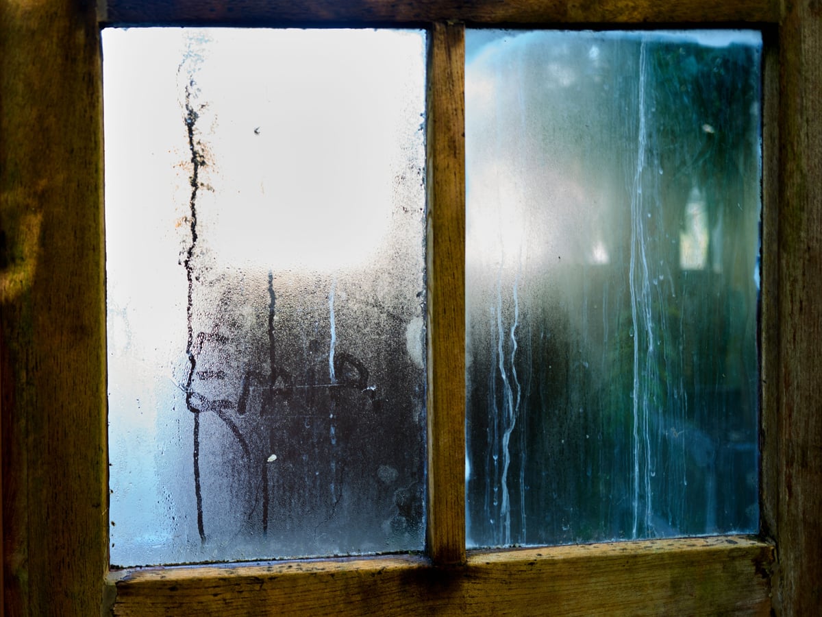 Beschlagene Fensterscheibe mit Kondenswasser im Holzrahmen: Schimmel am Fenster vorbeugen mit Glanz & Glimmer