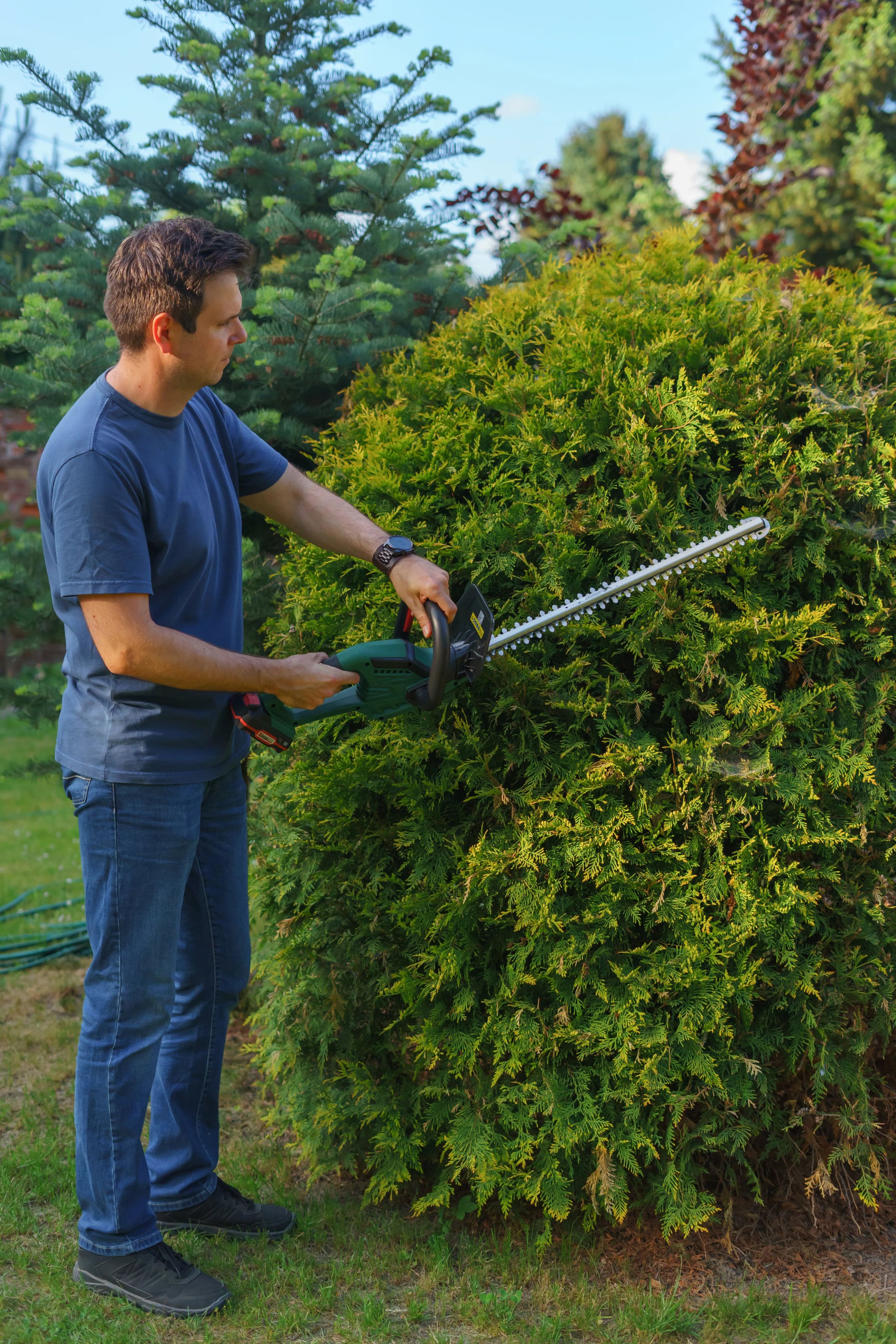 Gärtner formt mit einer elektrischen Heckenschere einen grünen Gartenstrauch