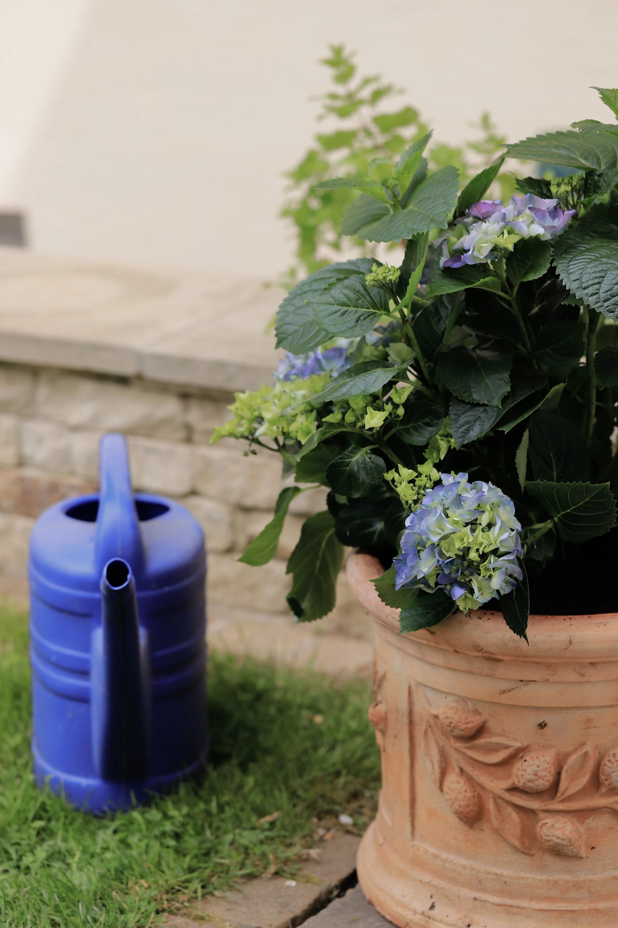 Bepflanzter Kübel und Gießkanne auf einer sommerlichen Terrasse: Sommercheckliste von Glanz & Glimmer